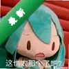 ʶ��ż�ͼ��