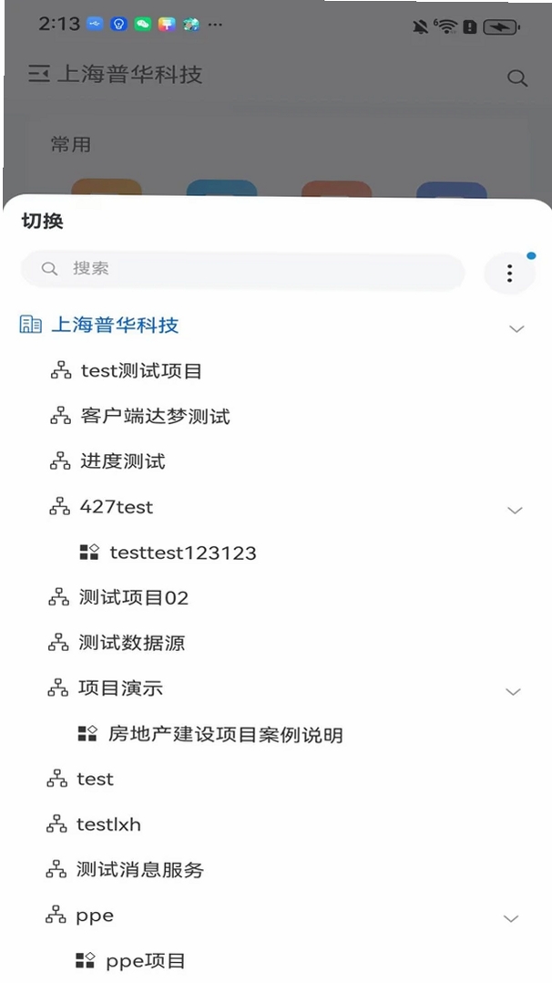 PowerPIP运行截图