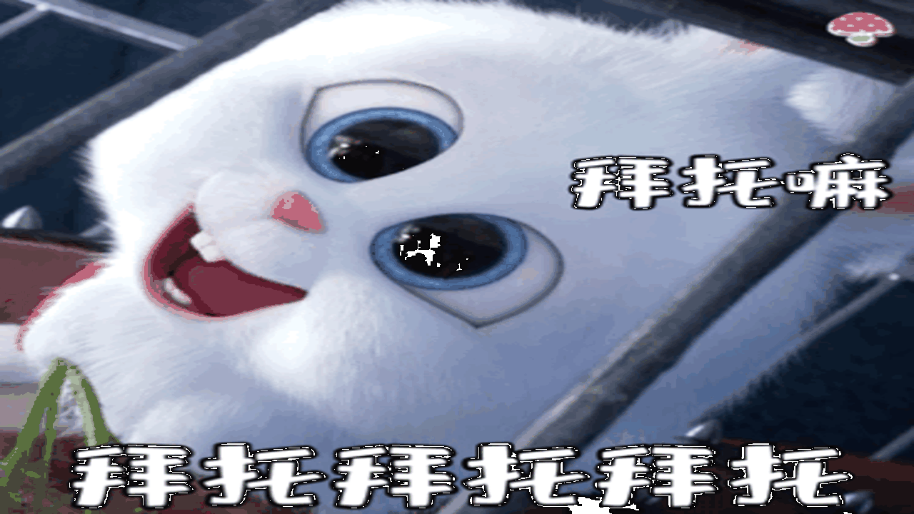 拜托了!兔子 梗出处 表情包 兔子主角