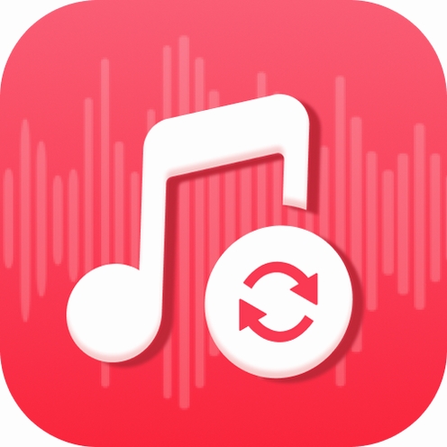 Viwoo音频格式转换器运行截图