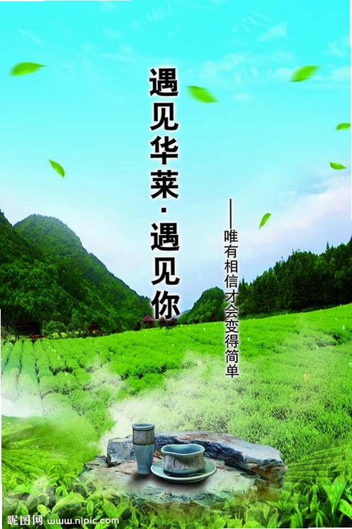 莱聊运行截图