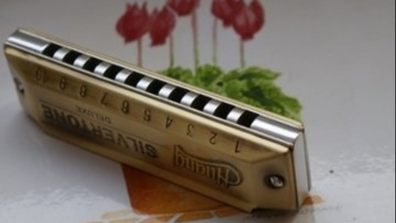 HUA口袋口琴HUA: pocket harmonica 便携迷你款 新手入门随身吹奏 使用场景实拍