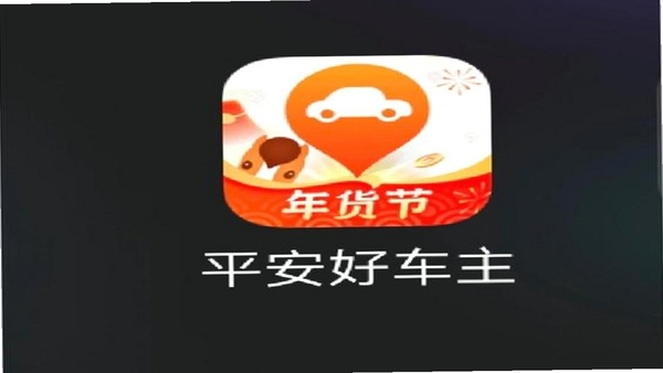 平安好车主隐私安全设置