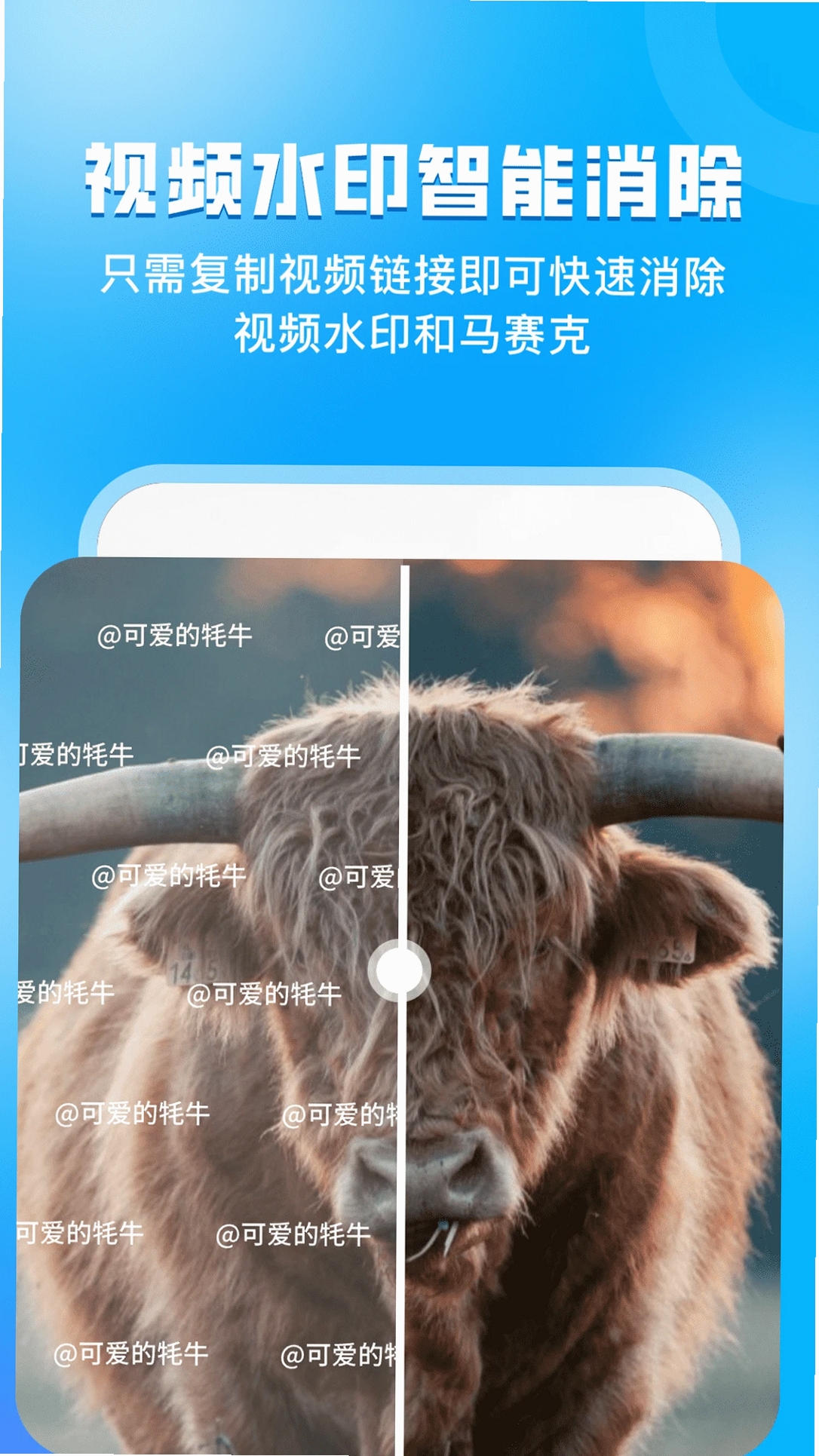 指尖虚拟摄像头运行截图