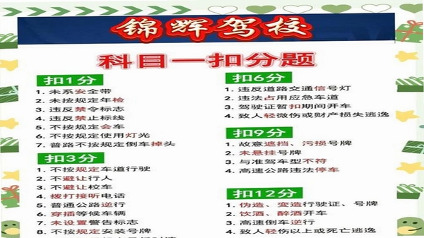 驾照违规题典 安装教程 安全检测