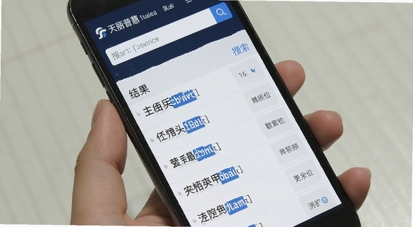 天丽普慧 信息检索页面 搜索框位于顶部 下方为分类结果列表 蓝色高亮关键词 简洁列表布局 手机屏幕展示