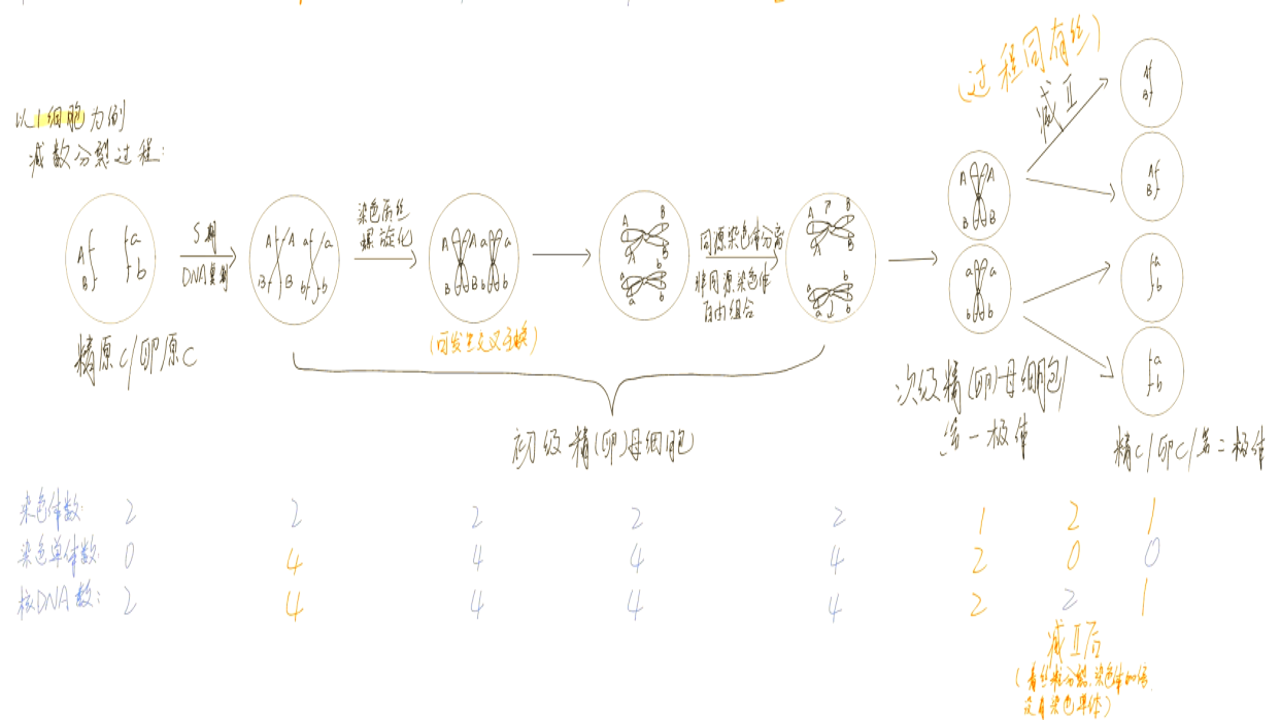 细胞分裂1隐秘行动 后期关卡 最终任务 攻略流程图