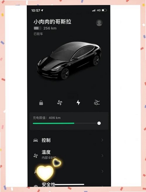 Tesla���н�ͼ