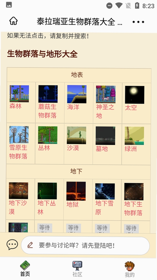 泰拉酒馆运行截图