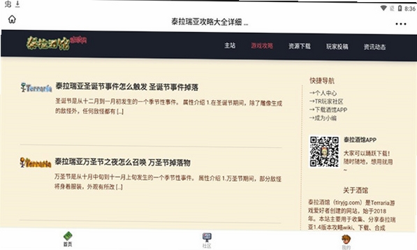 泰拉酒馆运行截图