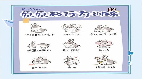 萌宠打工日记新手入门技巧