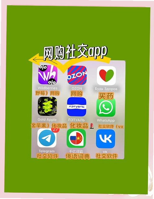 俄聊运行截图