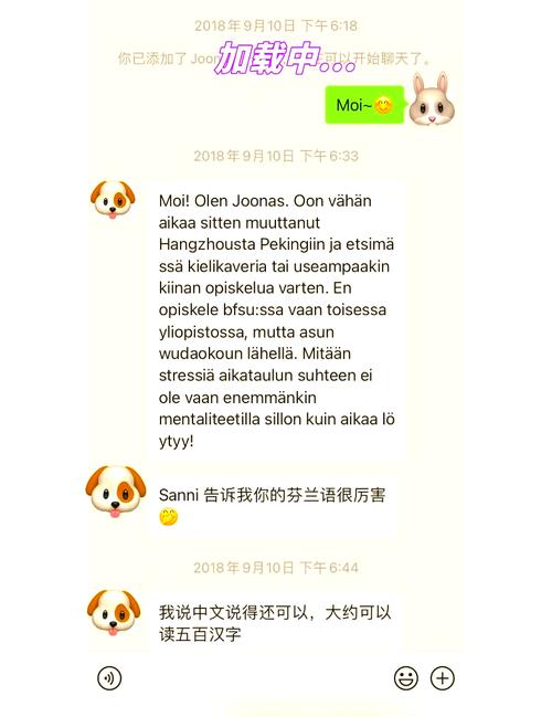 芬兰语翻译运行截图