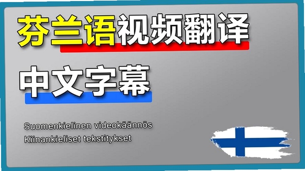 芬兰语翻译运行截图