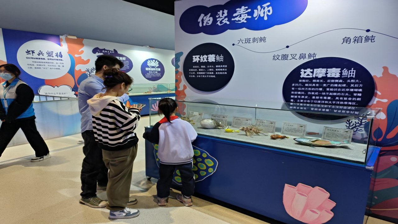 博物岛屿 主题展馆 生物标本 民俗文化 亲子互动体验