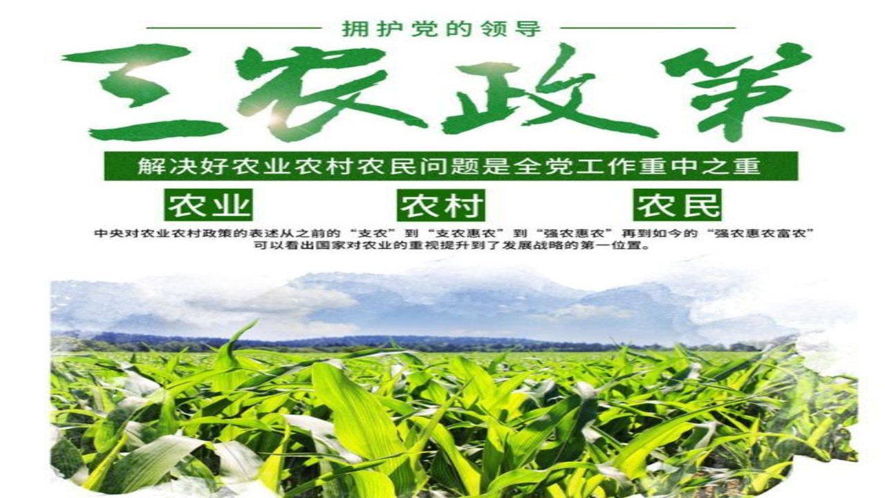 人民三农 乡村产业 高标准农田 返乡创业 惠农补贴