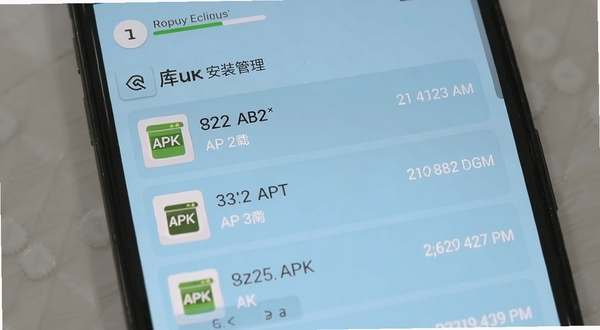 ��ⰲװ������ҳ�棬�ֻ���Ļ��ʾ�����ص�APK�ļ��б���ÿ����Ŀ�����ļ���С������ʱ�䣬����Ϊ����ɫ������һ���д洢�ռ������������ɾ�����