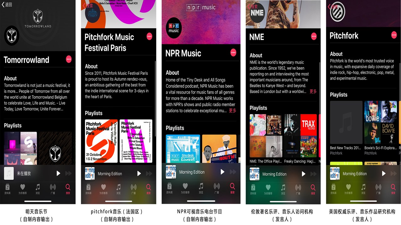 AvidTune音乐app(YouTube Music第三方客户端) 账号登录与歌单同步界面