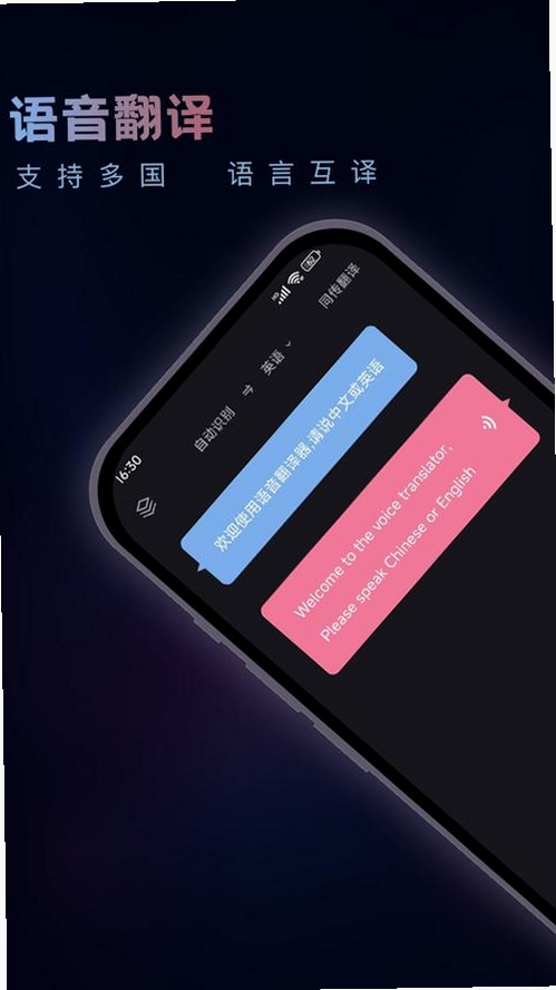 izdax翻译运行截图
