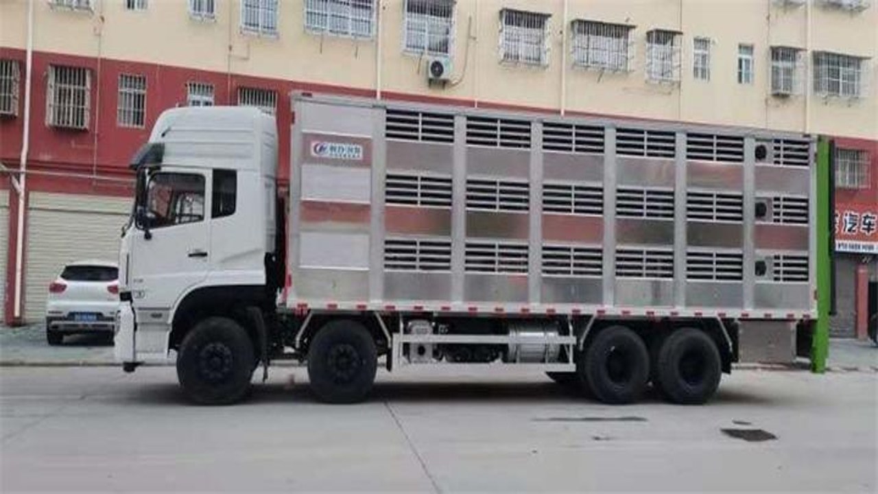 禽运通货主 货主发布货源 家禽装车运输实拍