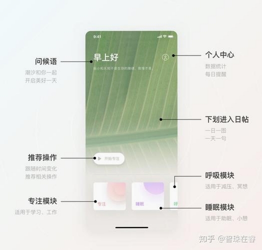 钟无忧运行截图