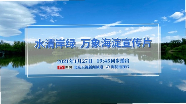 岸涌咨询运行截图