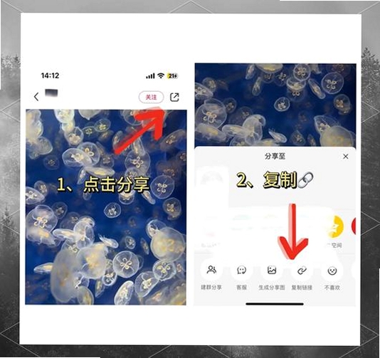 һ��ȥˮӡ�������н�ͼ