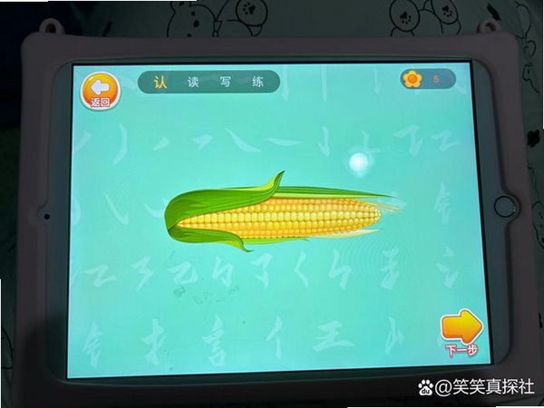 儿童学汉字运行截图