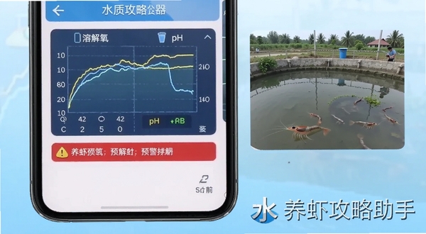 养虾攻略助手水质管理界面截图,画面展示手机屏幕上的溶解氧与pH值曲线图,图表下方有红色预警提示标签,背景为淡蓝色渐变,屏幕右侧有虾塘实景小图,突出软件名称养虾攻略助手的水印标识