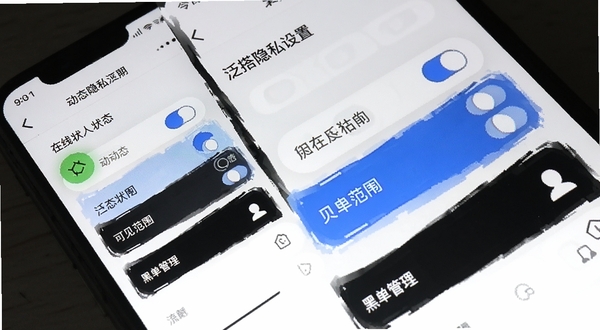 泛搭隐私设置页面 手机屏幕展示隐私开关选项 包括在线状态 动态可见范围 黑名单管理 界面简洁 白色背景配蓝色强调色