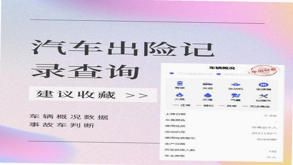 查博士 出险记录查询 功能截图