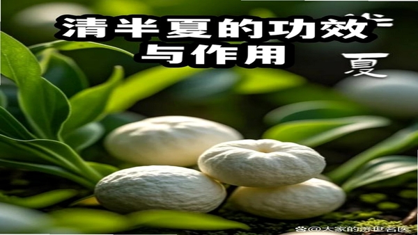 ���Ľ��� �û�����
