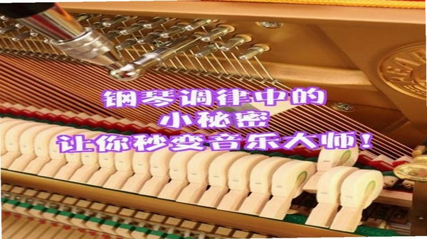 电子钢琴大师 安装教程
