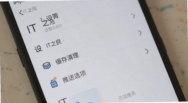 IT之家 设置界面 缓存清理 推送选项 手机截图 扁平化风格