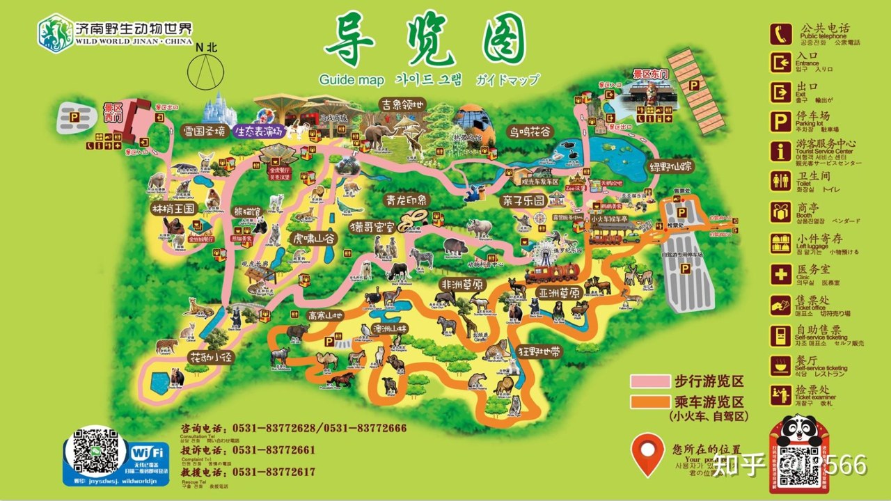 动物园岛全景地图与主要景点分布图