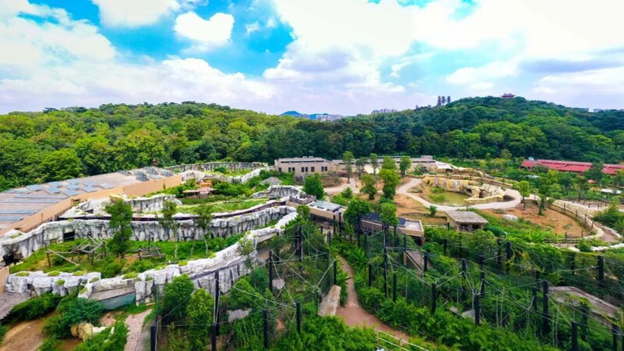 动物园岛南门入口及游客中心实拍