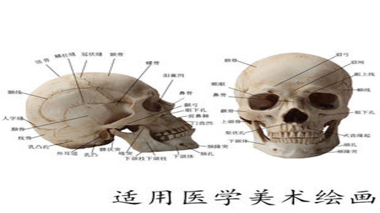 每天闹铃响铃 高效早起法 实用技巧 起床困难户 改善作息 生活建议