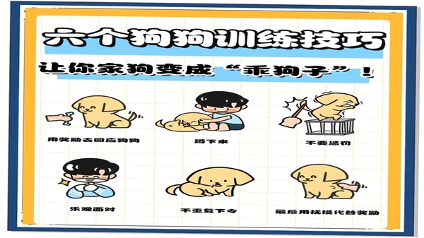 文案狗 使用教程