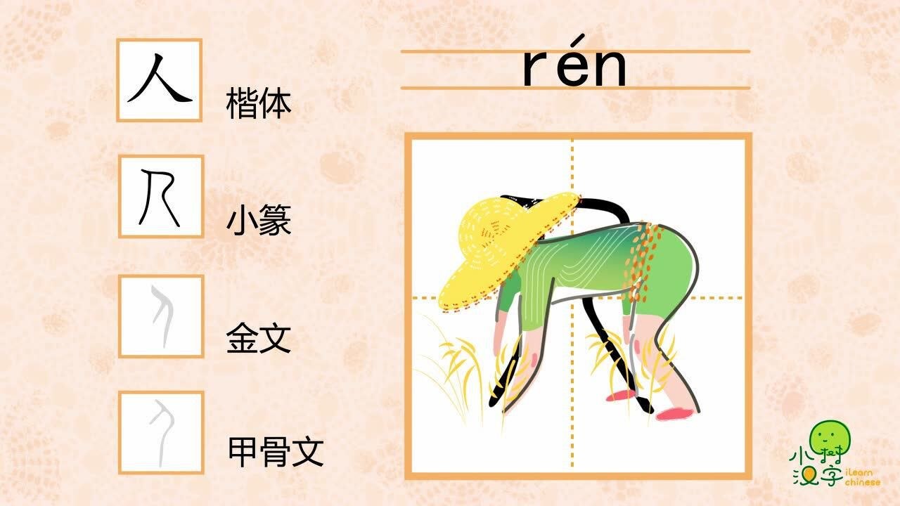汉字小私塾 汉字象形演变动画教学细节