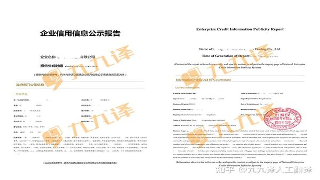 企业信息信用通最新信用报告下载流程与注意事项