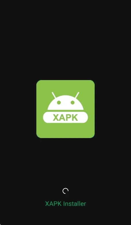 XAPK Installer手机版(XAPK安装器)运行截图