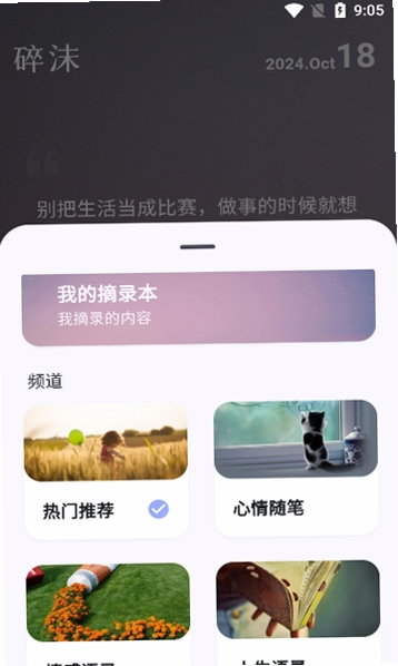 碎沫运行截图