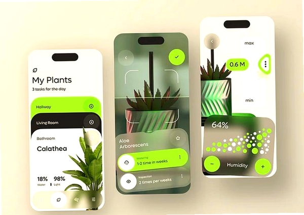 Idle Gnome Garden放置地精花园运行截图