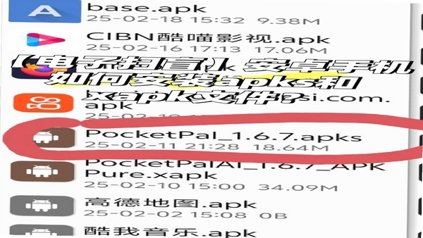 Tandem安卓版安装教程