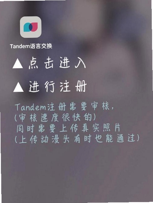 Tandem语言交换Tandem运行截图