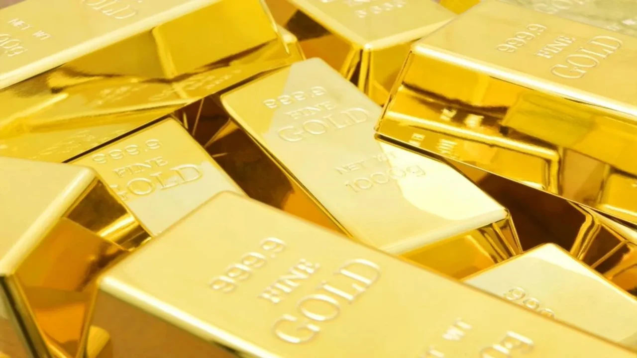 金雀播播官网入口及最新下载地址界面展示