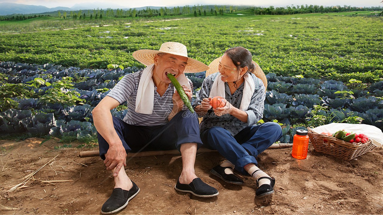 农村夫妻在自家院落中一起做饭或休息的幸福场景,体现两性乡伴的生活气息
