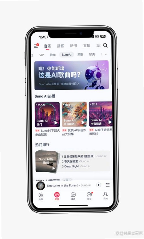 云极音乐运行截图