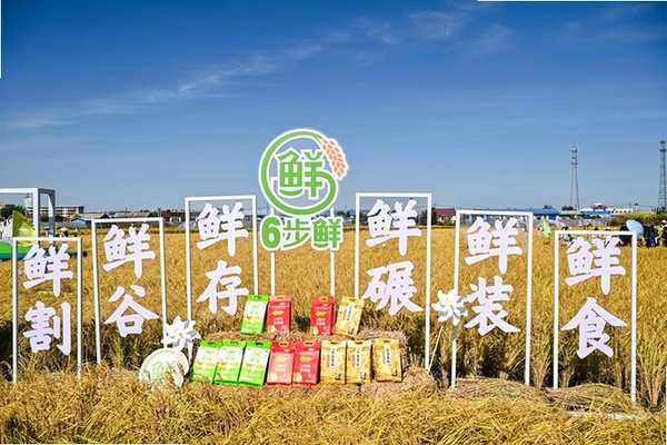 巅峰世界梦运行截图