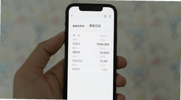 巅峰世界梦 更新日志界面 手机屏幕 中心位置 版本列表与日期 背景为白色 文字清晰 简约排版